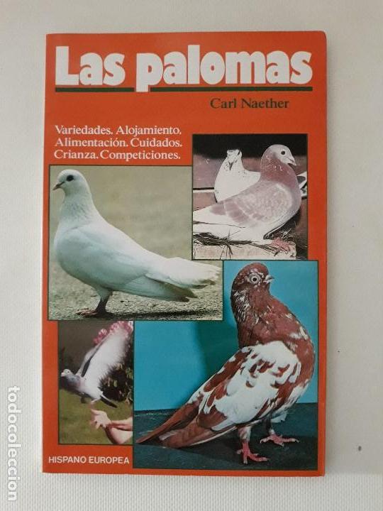 Libros de segunda mano: Las Palomas. Carl Naether. Editorial Hispano Europea. Barcelona, 1997. - Foto 1