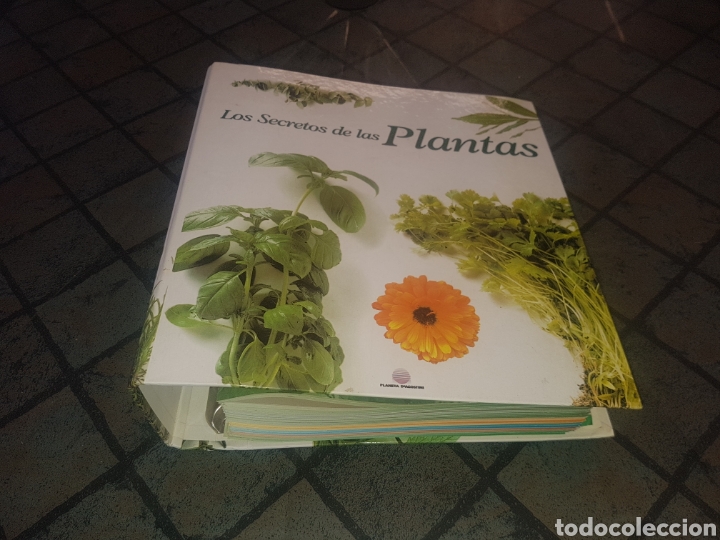 fichero de los secretos de las plantas de plane - Comprar Libros de