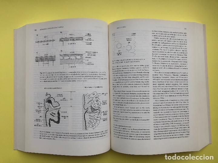 Libros de segunda mano: THE INSECTS, STRUCTURE AND FUNCTION, R.F. CHAPMAN. - Foto 3