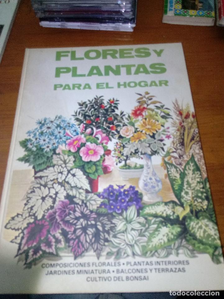 Libros de segunda mano: FLORES Y PLANTAS PARA EL HOGAR. EST25B1 - Foto 1