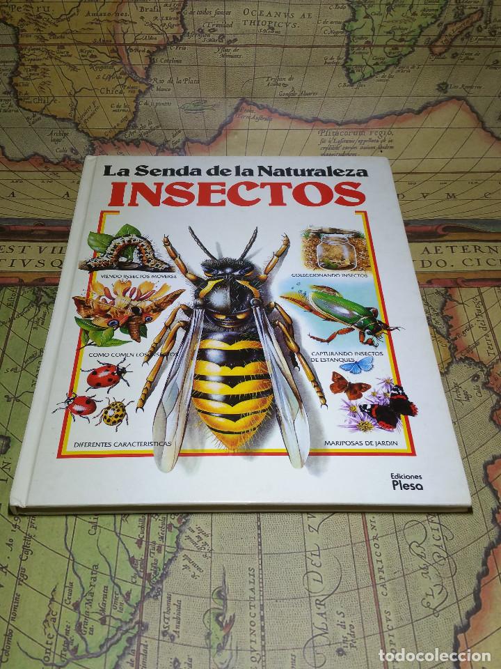 Libros de segunda mano: LA SENDA DE LA NATURALEZA INSECTOS EDICIONES PLESA - Foto 1