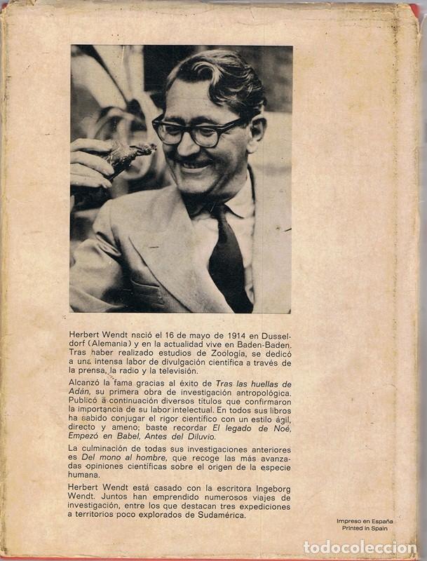 Libros de segunda mano: DEL MONO AL HOMBRE HERBERT WENDT - Foto 3