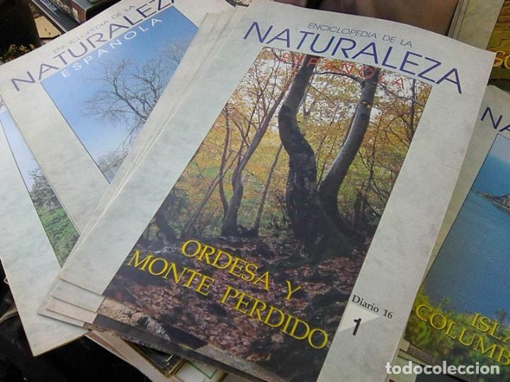 Gebrauchte B&uuml;cher: Enciclopedia De la naturaleza espa&ntilde;ola Diario 16 - f&aacute;sciculos sueltos - Ver disponibles -