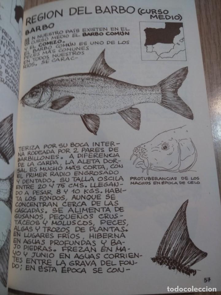 Libros de segunda mano: LOS PECES JOAQUIN MU&Ntilde;OZ COBOS PENTHALON EDICIONES EL BUHO VIAJERO - Foto 4