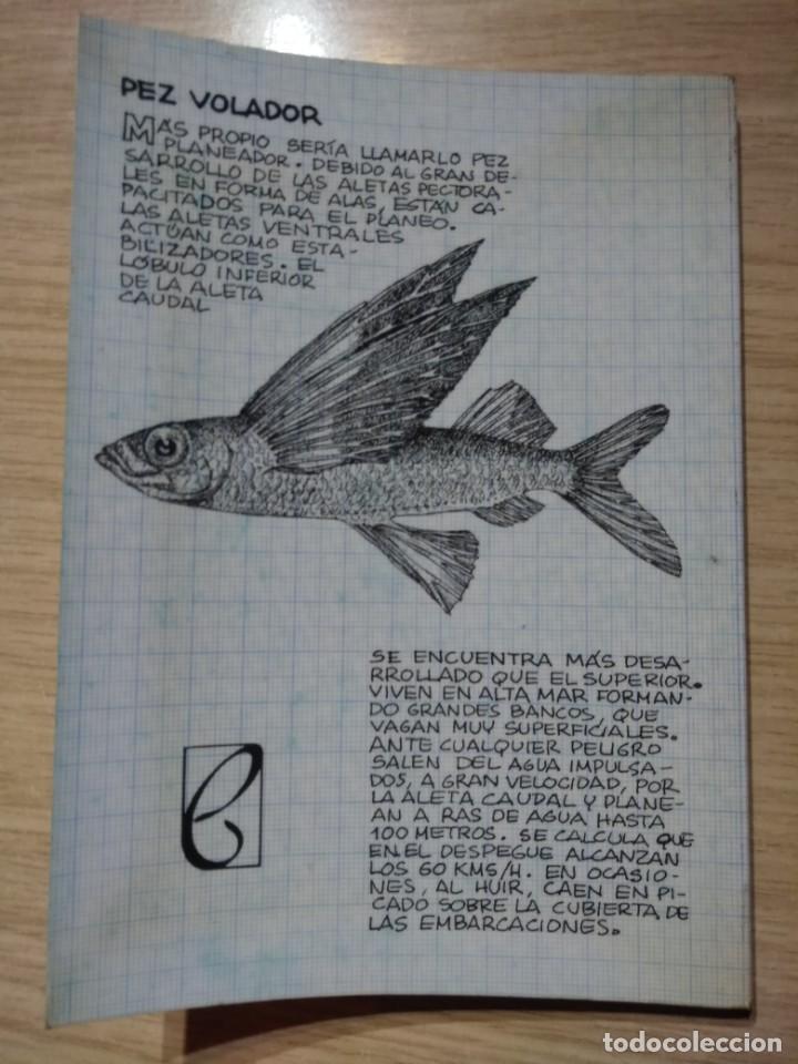 Libros de segunda mano: LOS PECES JOAQUIN MU&Ntilde;OZ COBOS PENTHALON EDICIONES EL BUHO VIAJERO - Foto 5