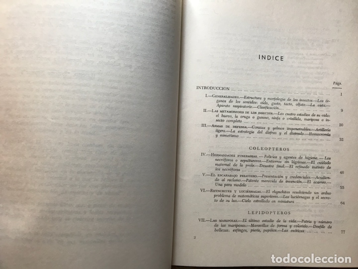 Libros de segunda mano: Dios a la vista. Jes&uacute;s Sim&oacute;n. Libro ameno sobre insectos. - Foto 3