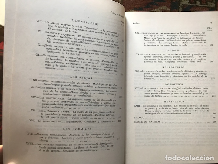 Libros de segunda mano: Dios a la vista. Jes&uacute;s Sim&oacute;n. Libro ameno sobre insectos. - Foto 4