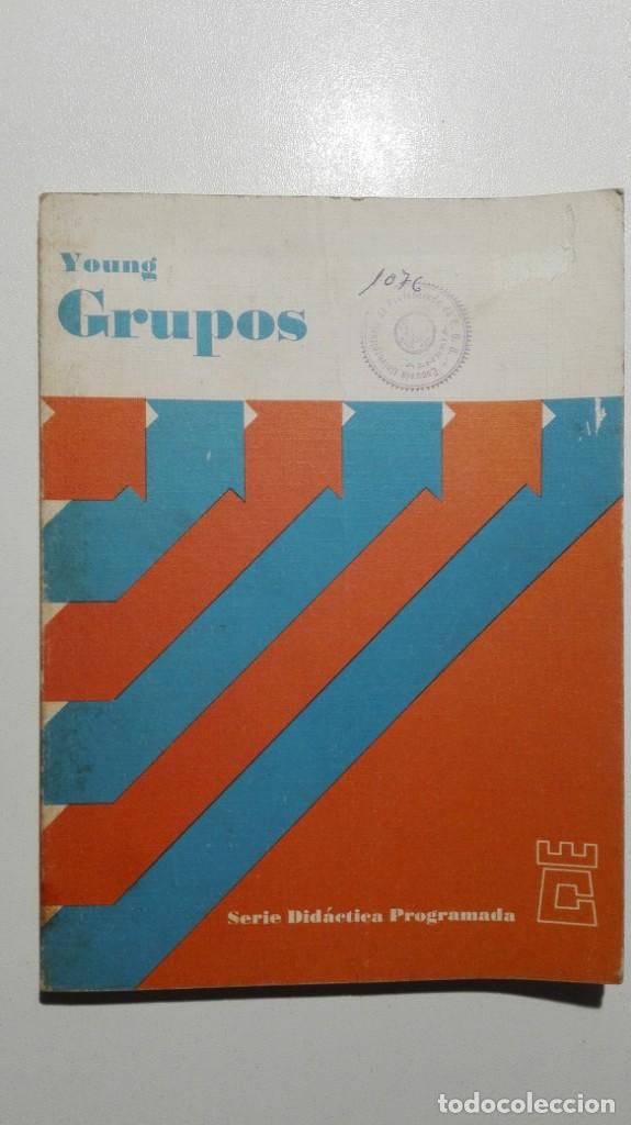 Libros de segunda mano de ciencias: GRUPOS - Robert G. Young- Ediciones del Castillo - Serie Did&aacute;ctica Programada 1971 - Foto 1