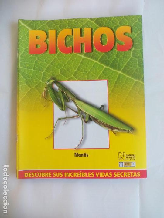 Libros de segunda mano: MANTIS, FASC&Iacute;CULO DE BICHOS DE RBA 2008 . INSECTOS - Foto 1