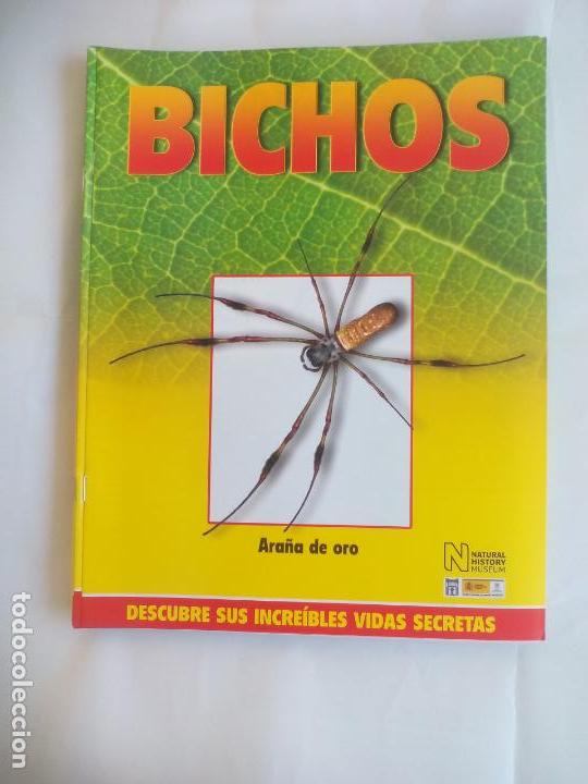 Libros de segunda mano: ARA&Ntilde;AS DE ORO, FASC&Iacute;CULO DE BICHOS DE RBA 2008 . INSECTOS - Foto 1