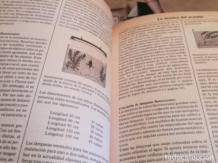 Libros de segunda mano: El libro de los acuarios - Ines Scheurmann - Foto 3