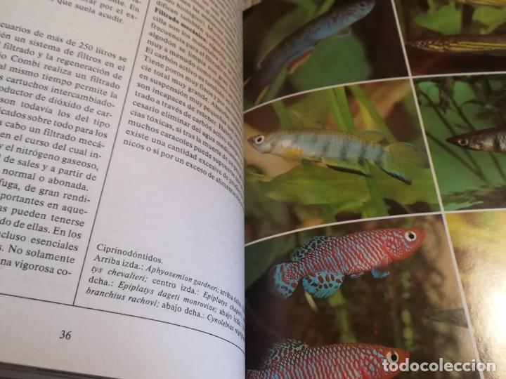 Libros de segunda mano: El libro de los acuarios - Ines Scheurmann - Foto 4