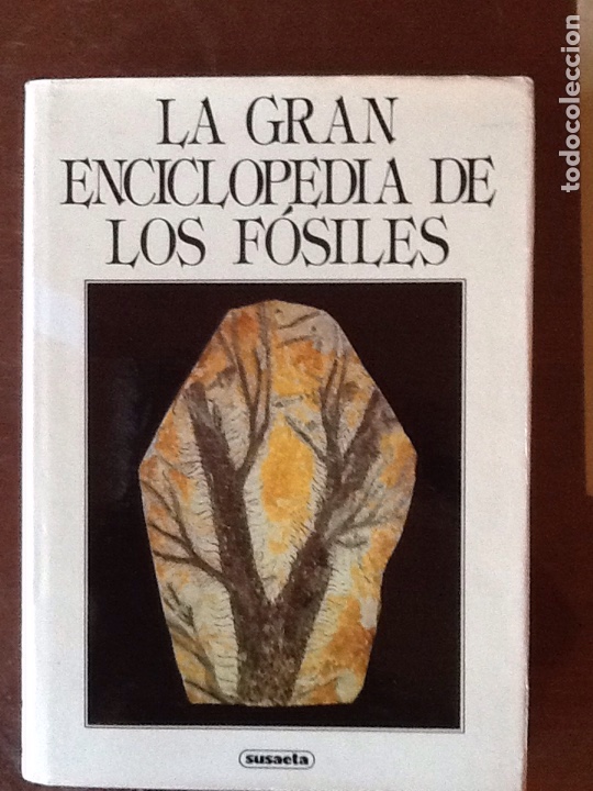 Libros de segunda mano: LA GRAN ENCICLOPEDIA DE LOS F&Oacute;SILES - Foto 1
