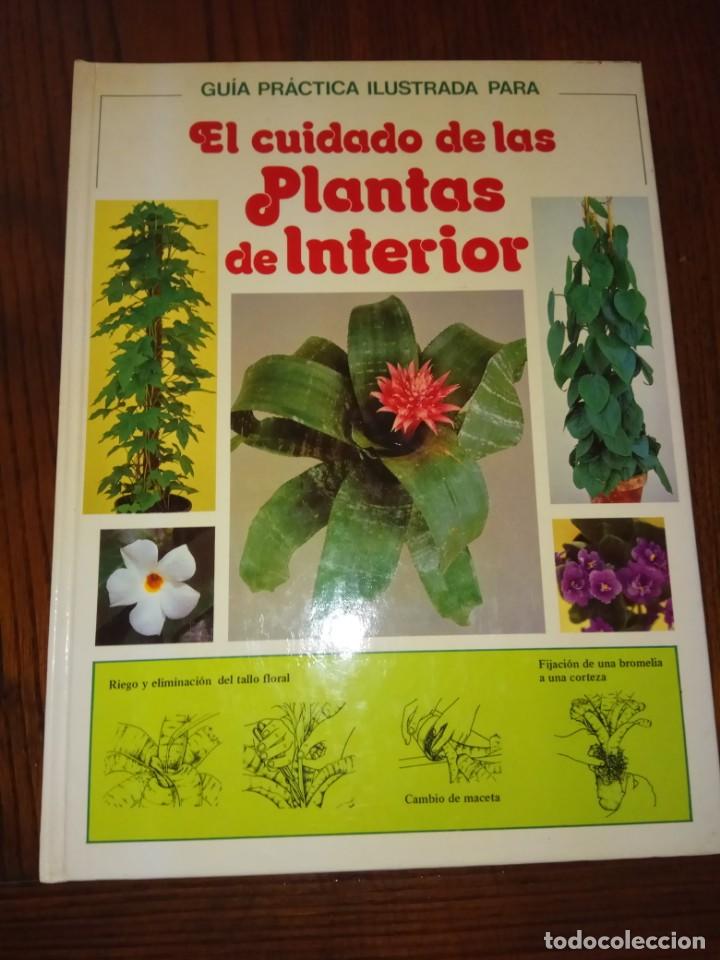 GUIA PRACTICA ILUSTRADA PARA EL CUIDADO DE LAS PLANTAS DE INTERIOR-DAVID LONGMAN.