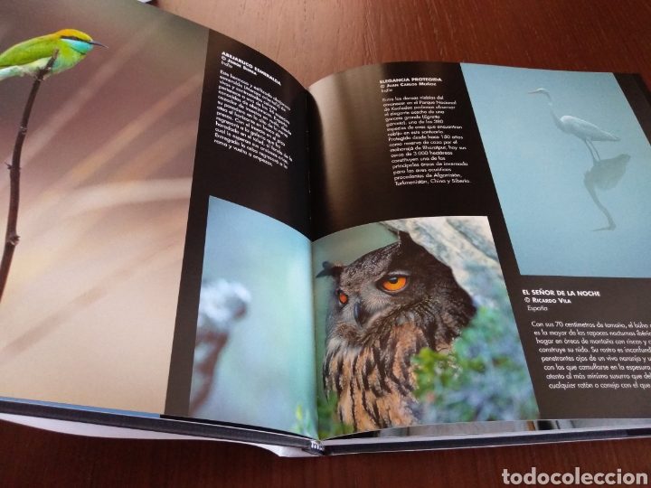 Libros de segunda mano: La vida en un instante. WWF/Adena y Asisa - Foto 2