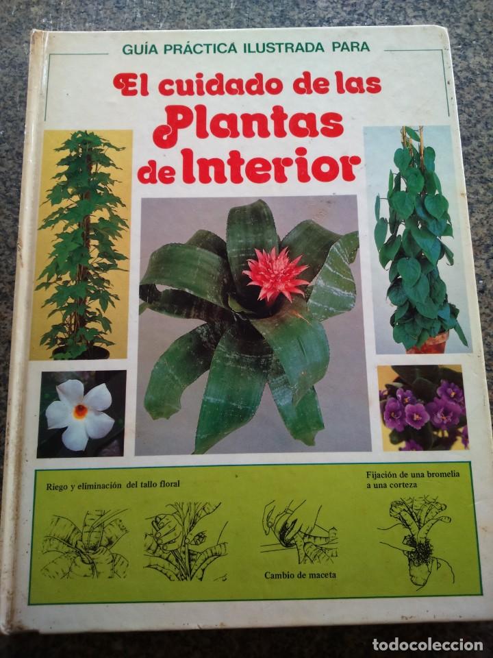 Libros de segunda mano: EL CUIDADO DE LAS PLANTAS DE INTERIOR -- GUIA PRACTICA -- CIRCULO 1981 -- - Foto 1