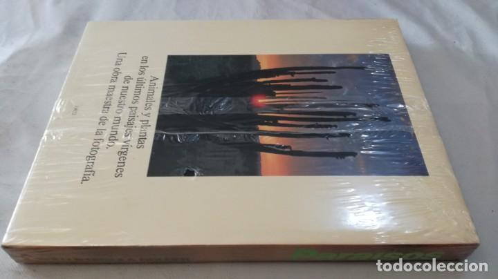 Libros de segunda mano: PARAISOS-Willi & Ursula Dolder		NUEVO PRECINTADO - Foto 2