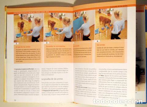 Libros de segunda mano: BIRMELIN, Immanuel - PERRO LISTO - Barcelona 2008 - Ilustrado - Foto 3