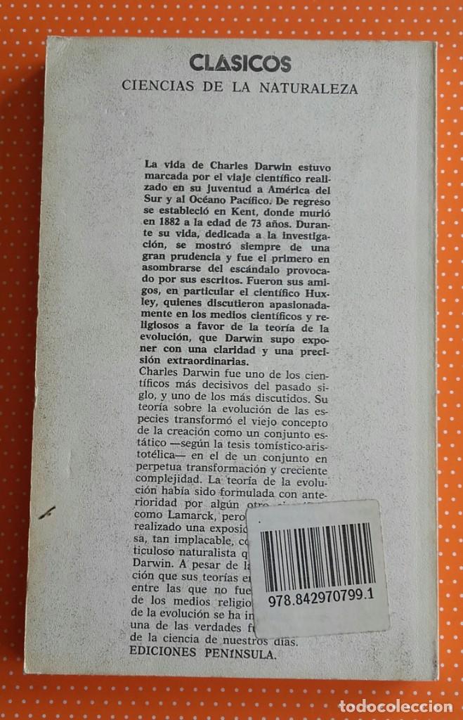 Libros de segunda mano: TEOR&Iacute;A DE LA EVOLUCI&Oacute;N. Charles Darwin. Pen&iacute;nsula. 1975. 252 p&aacute;ginas. - Foto 2