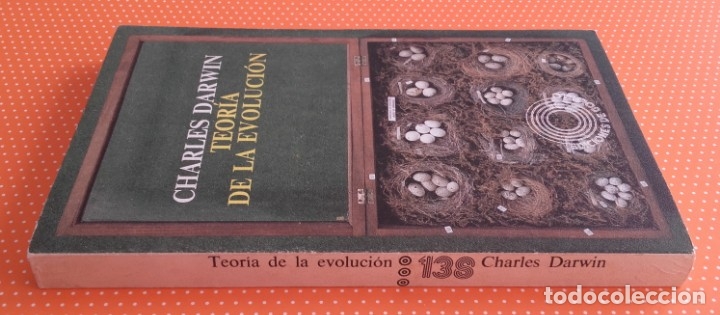 Libros de segunda mano: TEOR&Iacute;A DE LA EVOLUCI&Oacute;N. Charles Darwin. Pen&iacute;nsula. 1975. 252 p&aacute;ginas. - Foto 4
