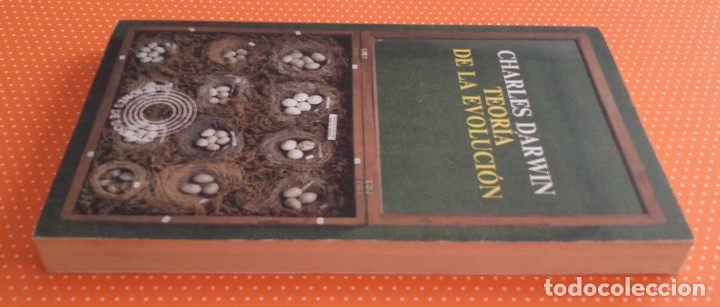 Libros de segunda mano: TEOR&Iacute;A DE LA EVOLUCI&Oacute;N. Charles Darwin. Pen&iacute;nsula. 1975. 252 p&aacute;ginas. - Foto 6
