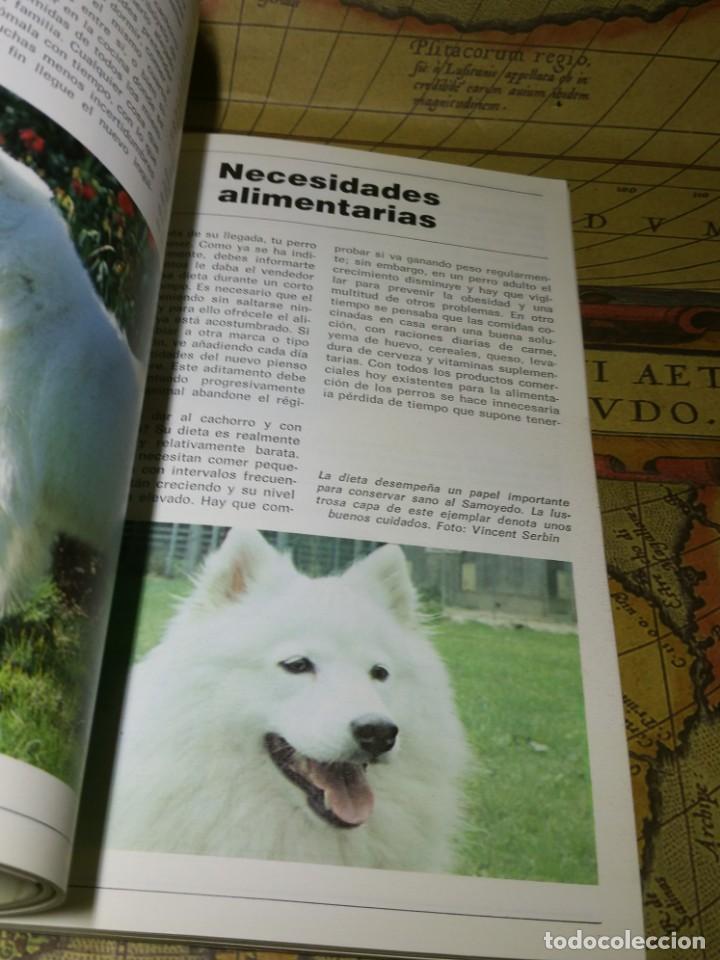 Libros de segunda mano: EL SAMOYEDO. JOYCE REYNAUD. HISPANO EUROPEA 1989. - Foto 2