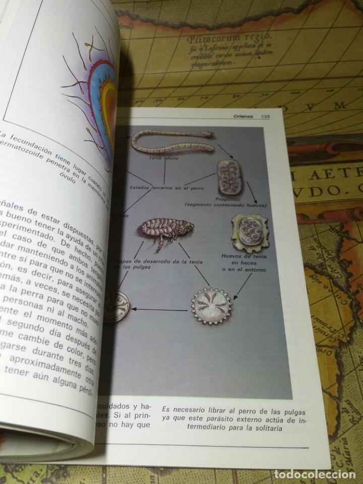 Libros de segunda mano: EL SAMOYEDO. JOYCE REYNAUD. HISPANO EUROPEA 1989. - Foto 4