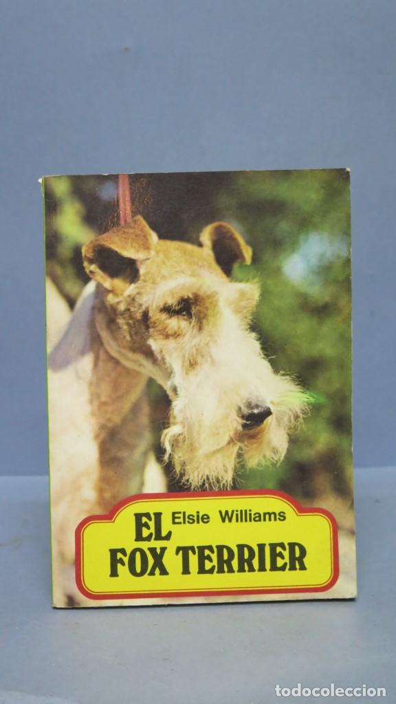 Libros de segunda mano: EL FOX TERRIER. ELSIE WILLIAMS - Foto 1