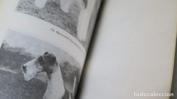 Libros de segunda mano: EL FOX TERRIER. ELSIE WILLIAMS - Foto 2