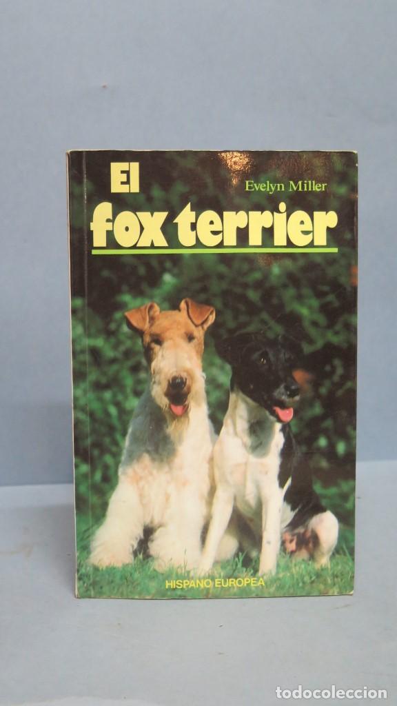 Libros de segunda mano: EL FOX TERRIER. ELSIE WILLIAMS - Foto 1