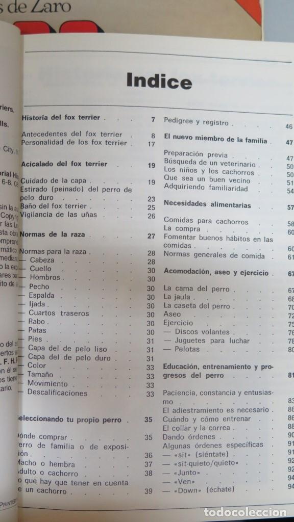 Libros de segunda mano: EL FOX TERRIER. ELSIE WILLIAMS - Foto 3
