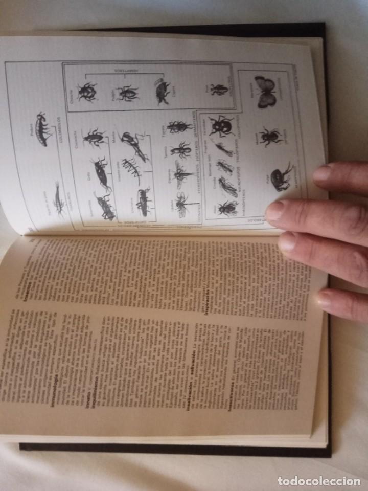 Libros de segunda mano: DICCIONARIO DE BIOLOG&Iacute;A - EDICIONES  ANAYA. - Foto 4