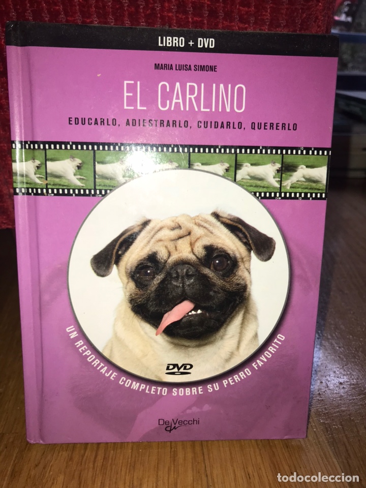 Libros de segunda mano: El Carlino libro + DVD Mar&iacute;a Luisa Simone - Foto 1