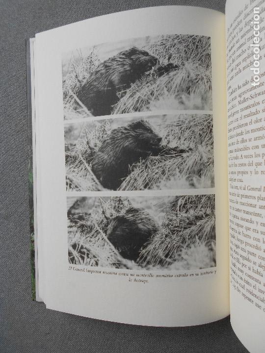 Libros de segunda mano: EL ESTANQUE DE LILY - Foto 5