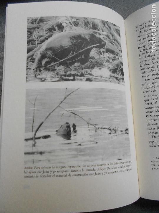 Libros de segunda mano: EL ESTANQUE DE LILY - Foto 9