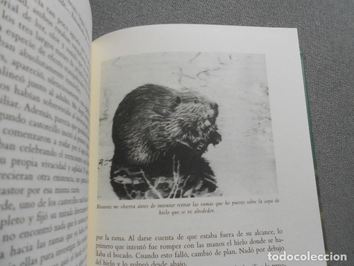 Libros de segunda mano: EL ESTANQUE DE LILY - Foto 10