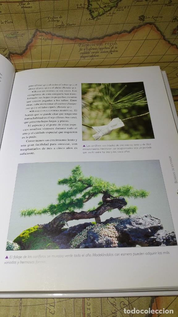 Libros de segunda mano: CUIDADOS DEL BONSAI. EDITORIAL LIBSA 2007. - Foto 4