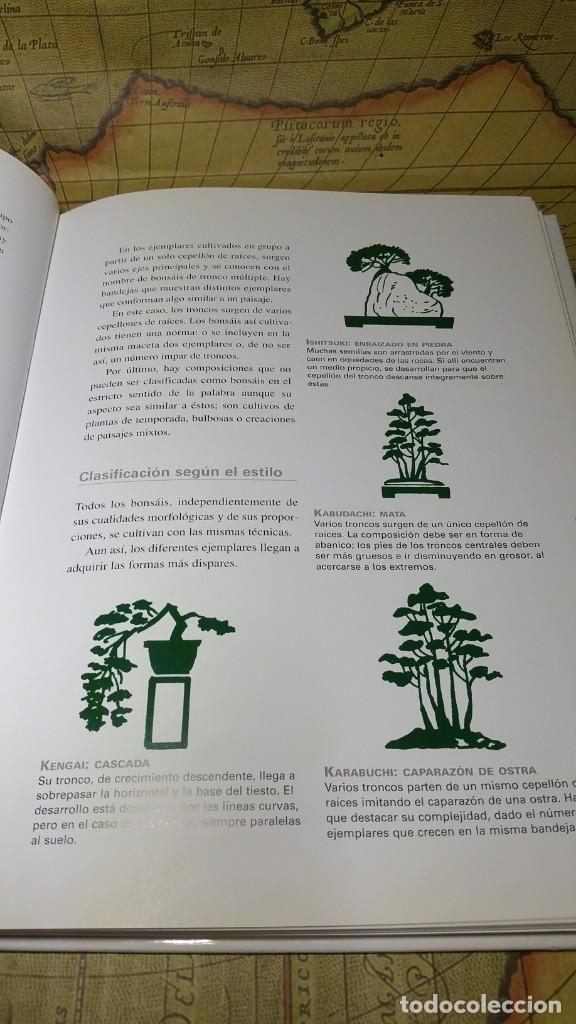 Libros de segunda mano: CUIDADOS DEL BONSAI. EDITORIAL LIBSA 2007. - Foto 5