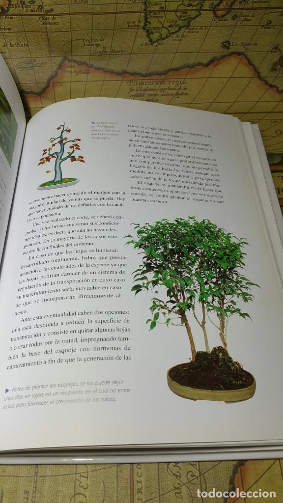 Libros de segunda mano: CUIDADOS DEL BONSAI. EDITORIAL LIBSA 2007. - Foto 6