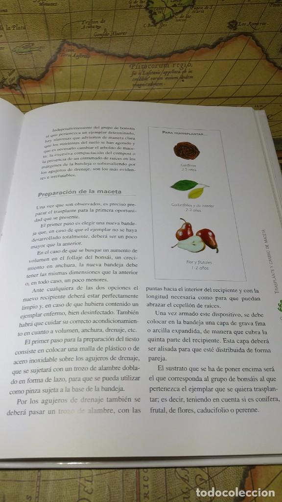 Libros de segunda mano: CUIDADOS DEL BONSAI. EDITORIAL LIBSA 2007. - Foto 7