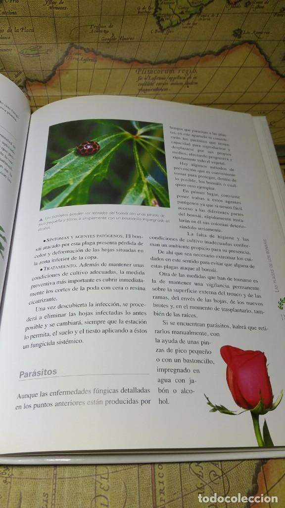 Libros de segunda mano: CUIDADOS DEL BONSAI. EDITORIAL LIBSA 2007. - Foto 8