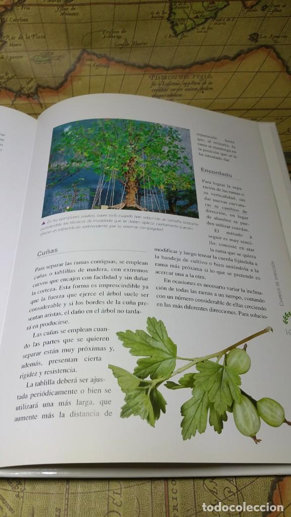 Libros de segunda mano: CUIDADOS DEL BONSAI. EDITORIAL LIBSA 2007. - Foto 9