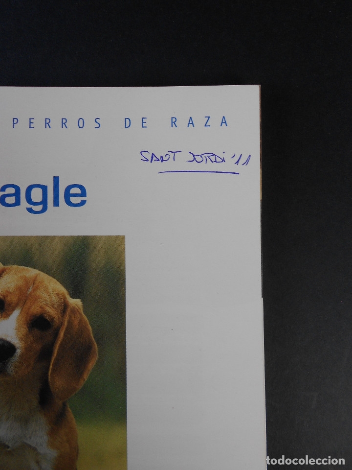 Libros de segunda mano: Beagle, (nuevas gu&iacute;as perros de raza), Hispano Europea 2010 - Foto 6