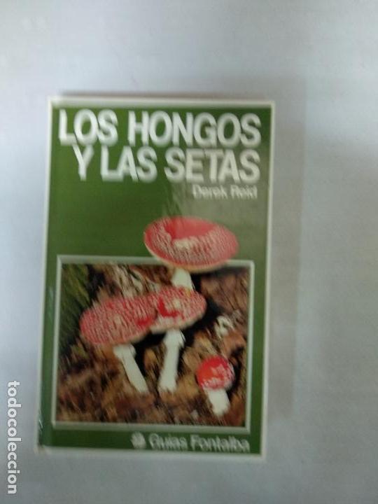 Libros de segunda mano: LOS HONGOS Y LAS SETAS - DEREK REID - Foto 1