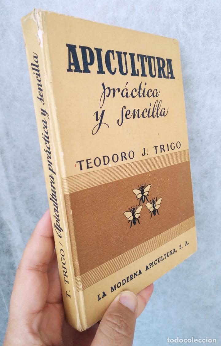 Apicultura Practica Y Sencilla Teodoro J Trig Buy Books Of Biology And Botany At Todocoleccion