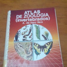 Libros de segunda mano: ATLAS DE ZOOLOGIA INVERTEBRADOS. A. DE HARO VERA. EST24B2R. Lote 139882434