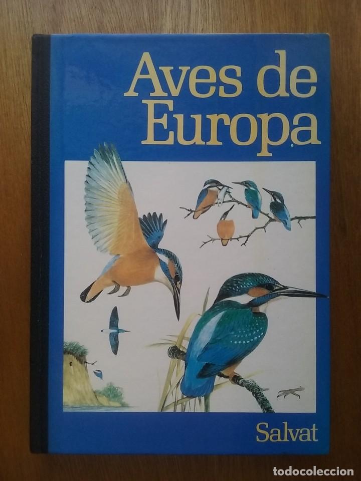Livres d'occasion: AVES DE EUROPA, SALVAT, 1983, PETER HAYMAN, PHILIP BURTON