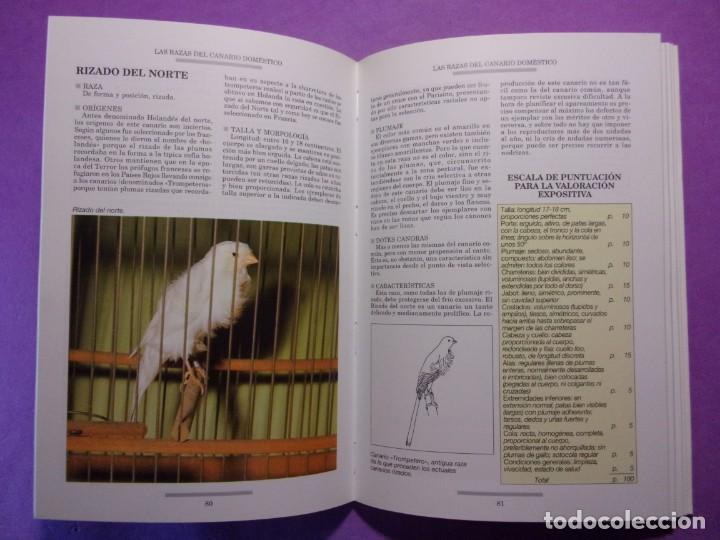 Libros de segunda mano: EL LIBRO DEL CANARIO / Vittorio Menass&eacute; / 3&ordf; edici&oacute;n 1999 - Foto 2
