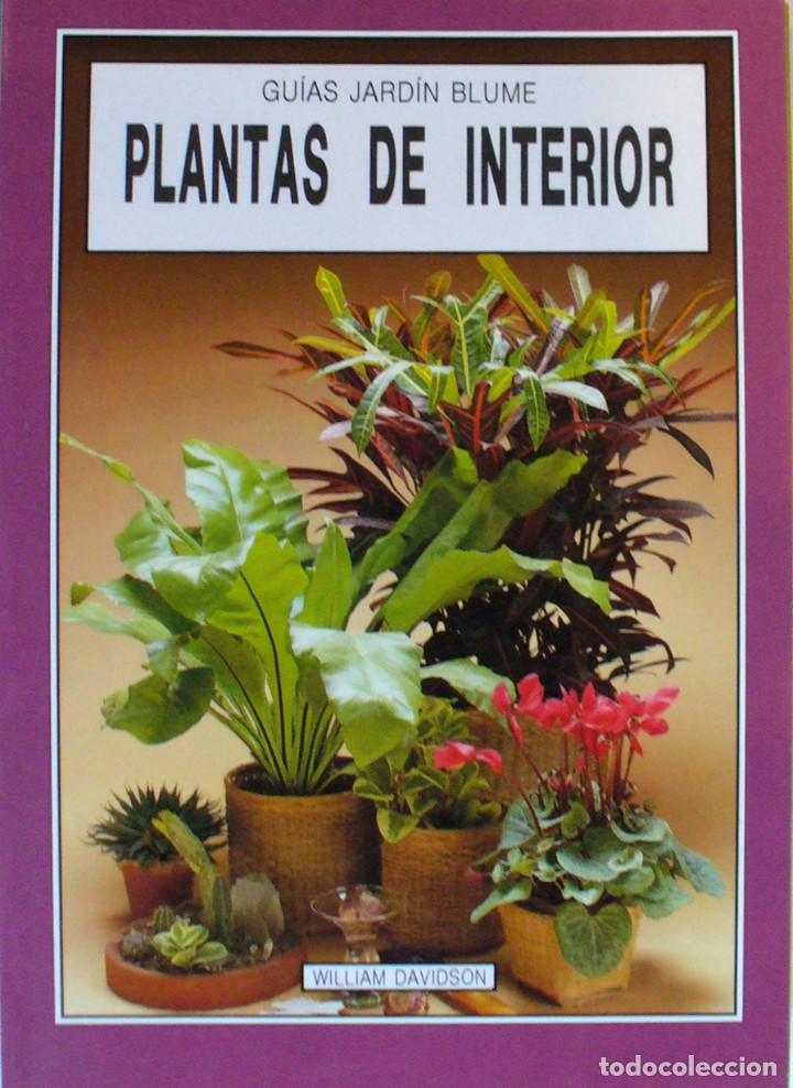 Libros de segunda mano: GUIA DE JARDIN BLUME-PLANTAS DE INTERIOR - Foto 1