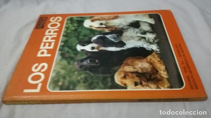Libros de segunda mano: LOS PERROS-ADRIANO TORREGROSA		EDITORIAL TEIDE 1972 - Foto 1